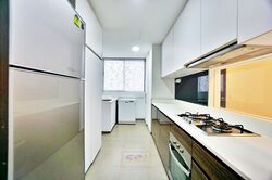 Terrene At Bukit Timah (D21), Condominium #580806781